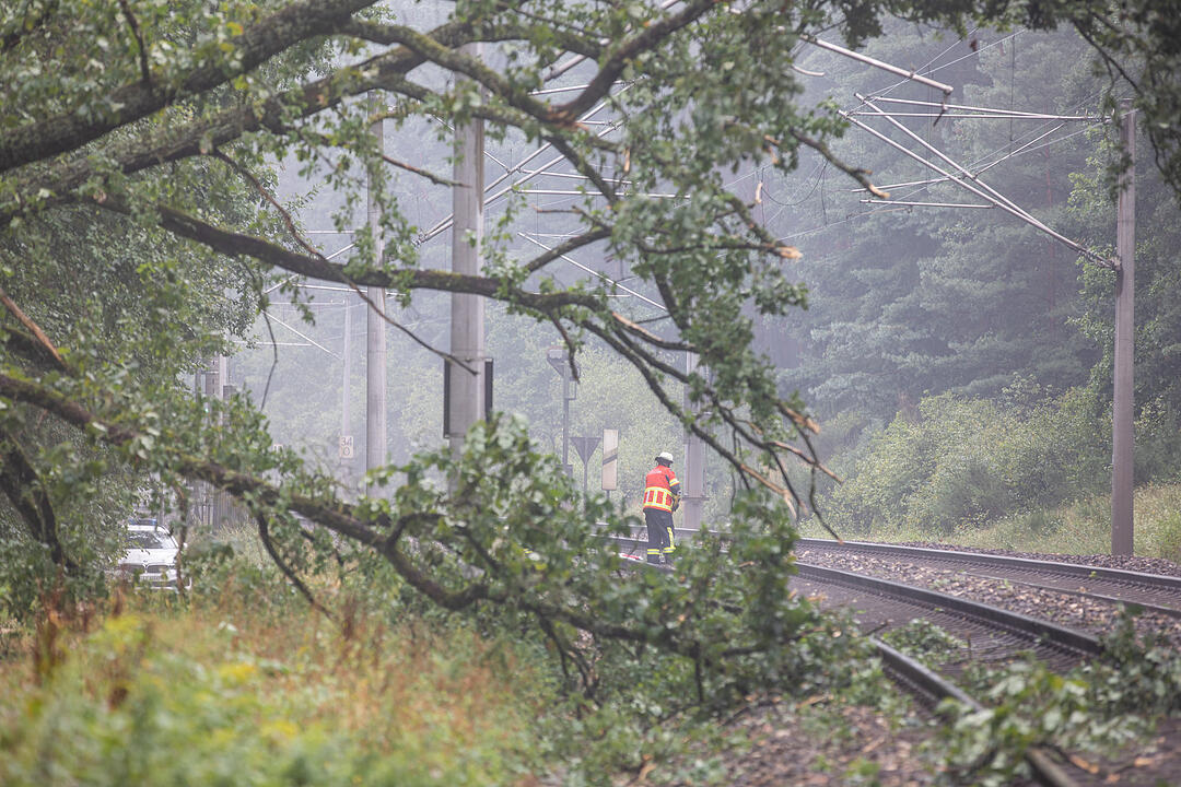 In der Nähe von Roth: Baum stürzt auf Gleise - Zugverbindung lahm gelegt
