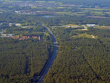 Die "Naturstiftung David" in Erfurt hat die Fläche im Osten der Autobahn vorgeschlagen und bestätigt den hohen Wer des nördlichen Hauptsmoorwaldes. In den lichten Kiefernforsten auf sandigen Terassen und Binnendünen haben sich viele moorige Kleingewässer erhalten. Seltene Fledermaus- und Amphibienarten leben hier.  Foto: Ronald RInklef