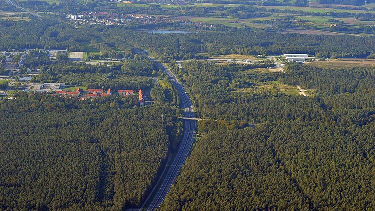 Die "Naturstiftung David" in Erfurt hat die Fläche im Osten der Autobahn vorgeschlagen und bestätigt den hohen Wer des nördlichen Hauptsmoorwaldes. In den lichten Kiefernforsten auf sandigen Terassen und Binnendünen haben sich viele moorige Kleingewässer erhalten. Seltene Fledermaus- und Amphibienarten leben hier.  Foto: Ronald RInklef