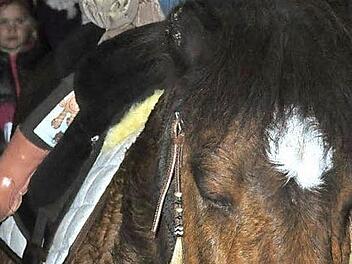 Die kleine Alaina saß als Heiliger Martin auf einem Pony in Bischwind.