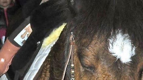 Die kleine Alaina saß als Heiliger Martin auf einem Pony in Bischwind.