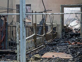 Nach Brand in Schweinezucht