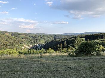 Würde ein Feriendorf auf dem Mühlberg zu Steinwiesen passen? Damit befasste sich der Marktgemeinderat. Foto: Archiv/Alexander Löffler