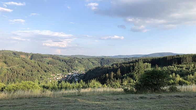 Würde ein Feriendorf auf dem Mühlberg zu Steinwiesen passen? Damit befasste sich der Marktgemeinderat. Foto: Archiv/Alexander Löffler