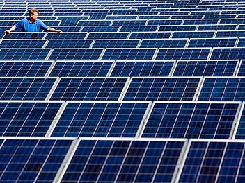 Dass bei Waldfenster Flächen mit Photovoltaikanlagen entstehen, ist derzeit ein Gerücht, das im Markt Burkardroth kursiert. Die Redaktion hat im Rathaus nachgefragt, was an der Behauptung dran ist. Symbolbild: Foto: Patrick Pleul dpa/lbn