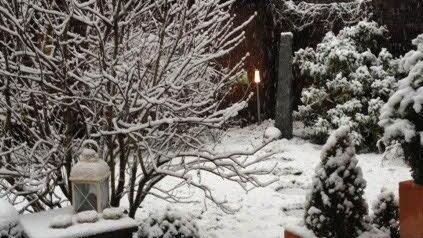 Winter in Fischbach ( Nürnberg). Foto: Silke Salhoff