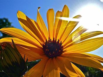 Die Kraft der Natur  und die Kraft einer  starken örtlichen Gemeinschaft sollen in Münnerstadt zur Energiewende beitragen. Foto: Heike Beudert