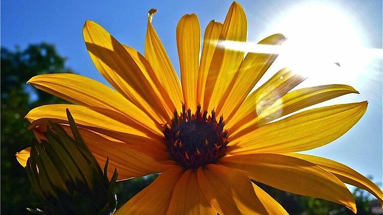 Die Kraft der Natur  und die Kraft einer  starken örtlichen Gemeinschaft sollen in Münnerstadt zur Energiewende beitragen. Foto: Heike Beudert
