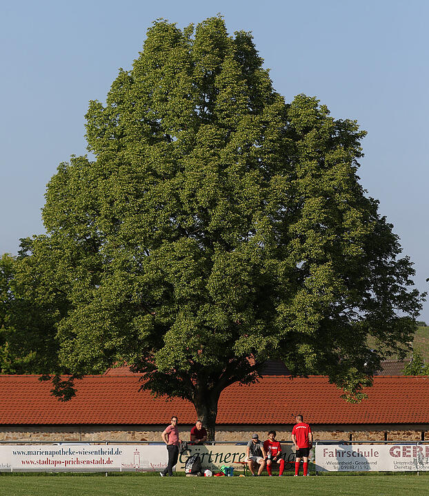 SV Kirchsch&ouml;nbach - TSV/DJK Wiesentheid II