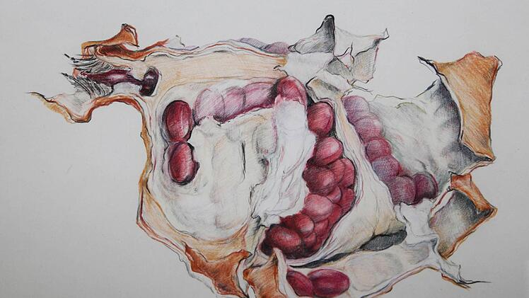 Die einfachen Dinge faszinieren Cornelia Morsch in besonderer Weise - mit Buntstiften hat sie Granatapfel-Impressionen festgehalten