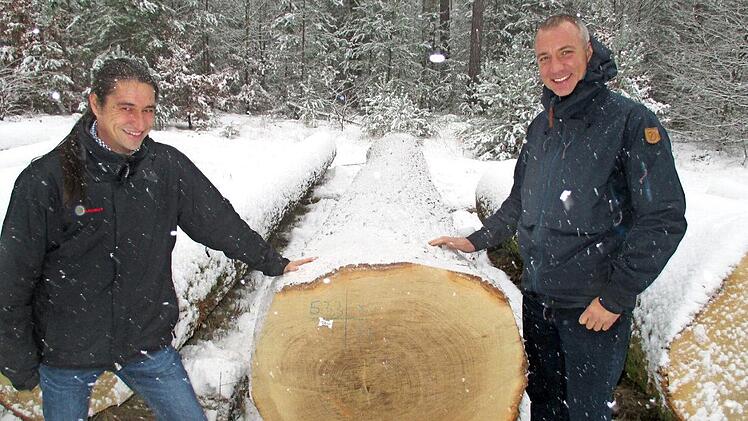 Jörg Ermert (rechts), Geschäftsführer der Forstwirtschaftlichen Vereinigung Oberfranken (FVO), steht vor einem Stamm der Submission.  Foto: Michael Kreppel