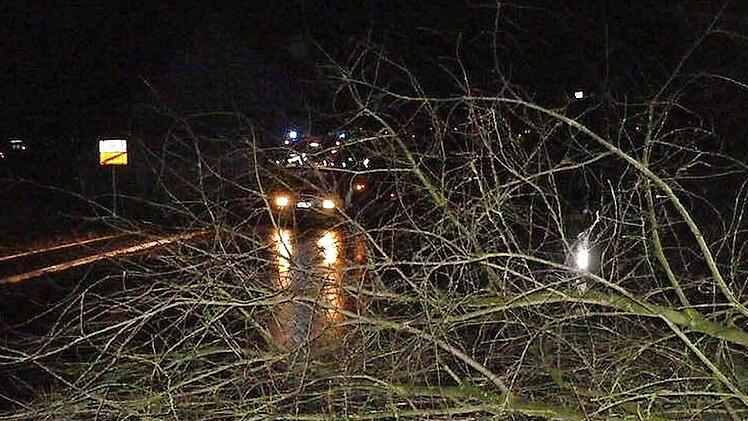 Die Kulmbacher Feuerwehr machte hier Kleinholz: umgestürzter Baum in der Theodor-Heuß-Allee. Foto: Feuerwehr Kulmbach