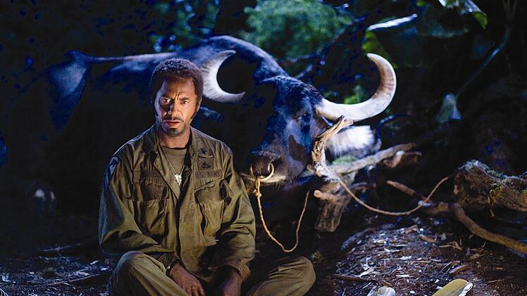 Kirk Lazarus ist verzweifelt, aber Robert Downey Jr. ist als wei&szlig;er australischer Oscar-Preistr&auml;ger, der sich in seiner Rolle per Pigmentf&auml;rbung und antrainiertem HipHop-Slang als obercooles afroamerikanisches Dschungelkampfschwein geriert, eine Sensation.