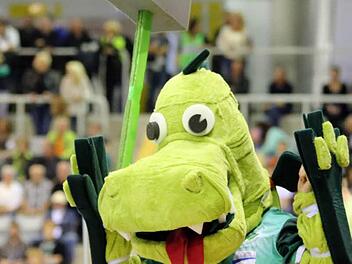 Der Auftakt in die 1. Volleyball-Bundesliga in Coburg war für alle Beteiligten der Hammer! Foto: Timo Geldner
