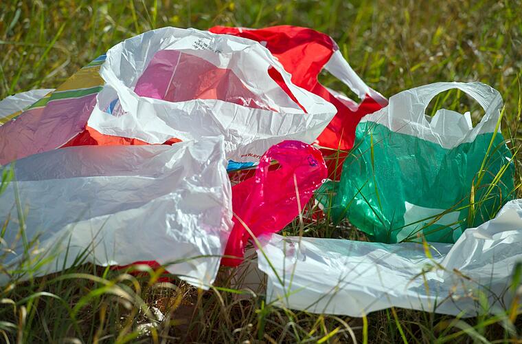 Umweltschützer fordern schärferes Plastiktüten-Verbot