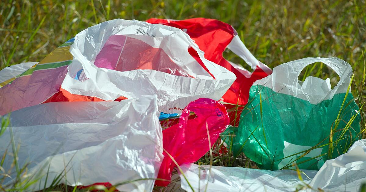 Umweltsch-tzer-fordern-sch-rferes-Plastikt-ten-Verbot