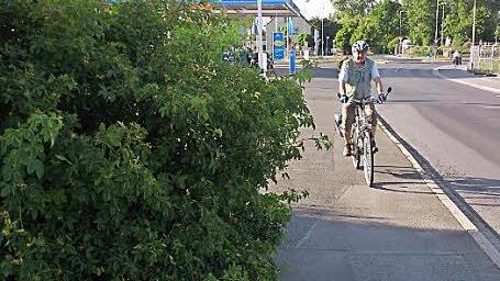 Helmut Trautner kennt in Höchstadt mehrere Stellen, an denen Bäume und Sträucher Radwege einengen. Eine davon liegt hier an der Fürther Straße in Höchstadt-Süd.  Foto: Andreas Dorsch