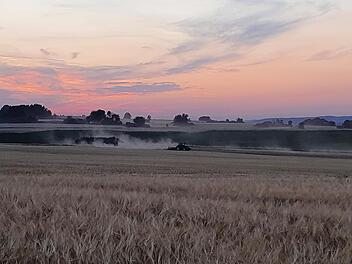 Was für die einen herrliche Sommertage in Dauerschleife sind, sind für die Natur und die Landwirtschaft bei uns inzwischen ein echter Dürre-Notstand. Foto: Christine Fischer