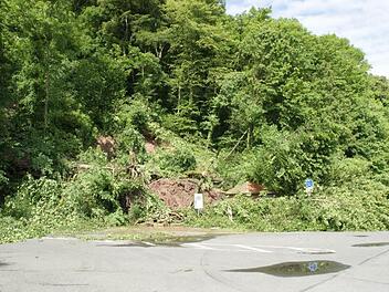 Komplett unter umgestürzten Bäumen ist der Maintalradweg bei Dippach begraben, nur das Schild ragt noch aus den Ästen. Glücklicherweise sind Radweg und Straße schon vorher gesperrt worden.  Foto: Sabine Weinbeer