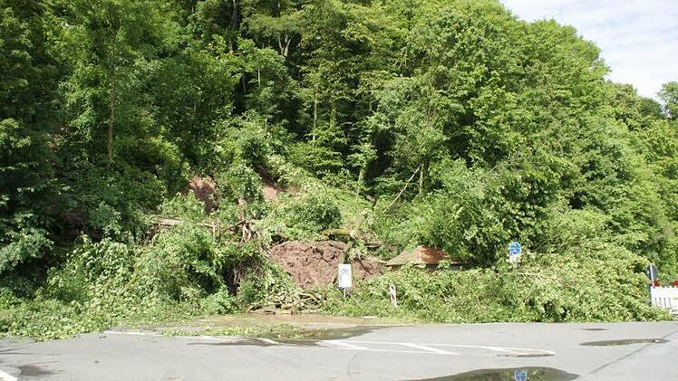Komplett unter umgestürzten Bäumen ist der Maintalradweg bei Dippach begraben, nur das Schild ragt noch aus den Ästen. Glücklicherweise sind Radweg und Straße schon vorher gesperrt worden.  Foto: Sabine Weinbeer