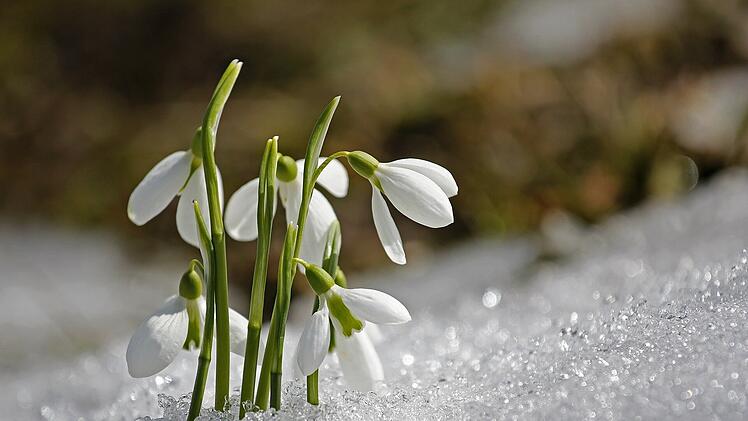 Kaltfront bringt Schnee nach Franken - wann kommt die Frühlingssonne wieder?