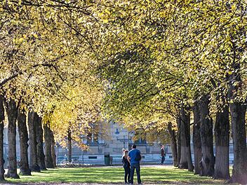 Das sonnige November-Wetter lädt dazu ein, jede freie Minute draußen zu verbringen. Foto: Andreas Weihmayr/dpa