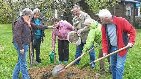 Beim Arbeitseinsatz (von links) die stellvertretende Vorsitzende des Gartenbauvereins Marktleugast, Brigitte Kellner, Angelika Büttner, Hannelore Weiß, Kreisvorsitzender Günter Reif, Vorsitzende Siegrid Bittermann und Otmar Büttner. Foto: Klaus-Peter Wulf