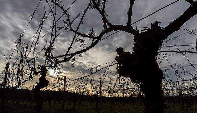 Fotos Konrad Thomann