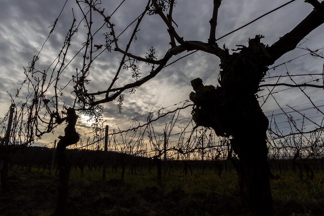 Fotos Konrad Thomann