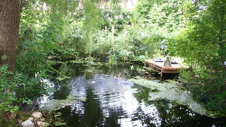 Ein kleines Paradies hat sich Marianne Rabeneck-Stewart in ihrem Garten geschaffen. Foto: Martin Rebhan
