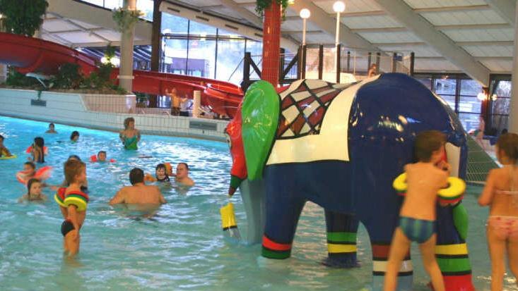 Badespaß mit großen Tieren: Das Wellenbad im "Atlantis" in Herzogenaurach.Schimmelpfennig