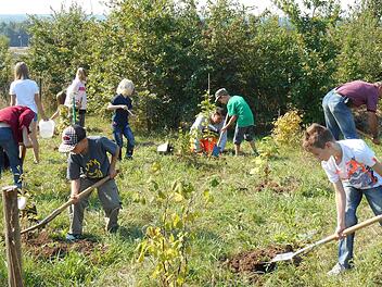 2013 wurde auf dem Gelände der Herzo Base ein Kinderwäldchen gepflanzt.  Foto: Bernhard Panzer (Archiv)