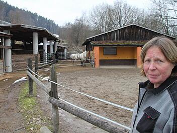 Sorgenfalten auf der Stirn: Ein neuer Bauantrag von Ingeborg Hugel ist vom Gemeinderat abgelehnt worden. Die 65-Jährige will mit ihrem Mann die Lücke zwischen den beiden Bauten im Hintergrund - dort, wo die Pferde stehen - überdachen. Foto: Jürgen Gärtner