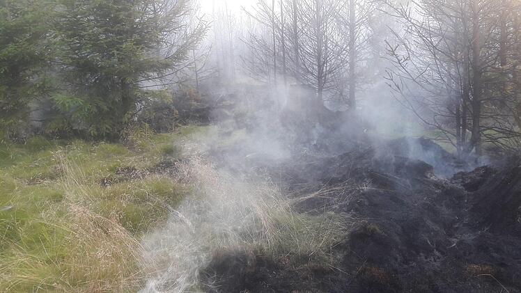 Zurück blieb im Wald am Rennsteig hauptsächlich verbrannte Erde.Veronika Schadeck