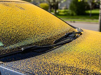 Pollen, Pollenflug, Wetter