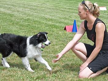 Apportieren ist für den Hund eine beliebte Freizeitbeschäftigung. Hier bringt der Border Collie Fin seiner Hundeführerin Saskia Leis einen Gegenstand zurück. Foto: Alfred Thieret