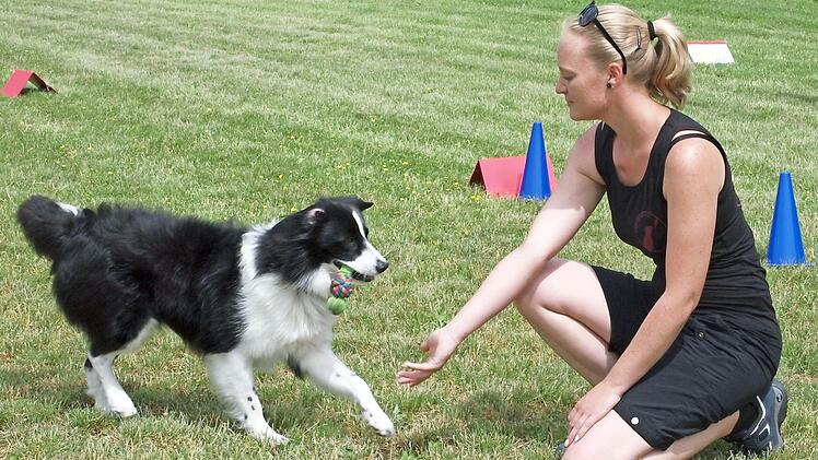 Apportieren ist für den Hund eine beliebte Freizeitbeschäftigung. Hier bringt der Border Collie Fin seiner Hundeführerin Saskia Leis einen Gegenstand zurück. Foto: Alfred Thieret
