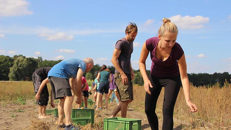 Alle packen mit an: Das ist "Solidarische Landwirtschaft". Diana Fuchs