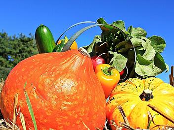 Kürbis, Zucchini und Paprika sind jetzt im Oktober in Saison.