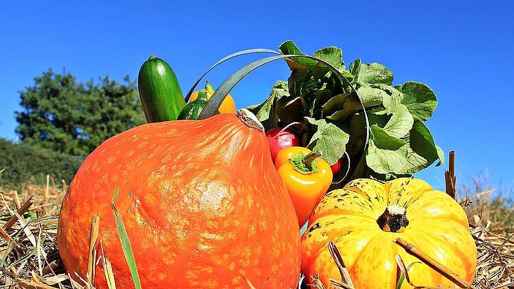 Kürbis, Zucchini und Paprika sind jetzt im Oktober in Saison.