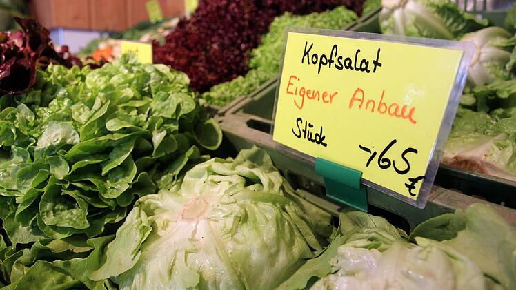 Symbolbild Kopfsalat Foto: Daniel Karmann dpa/lby