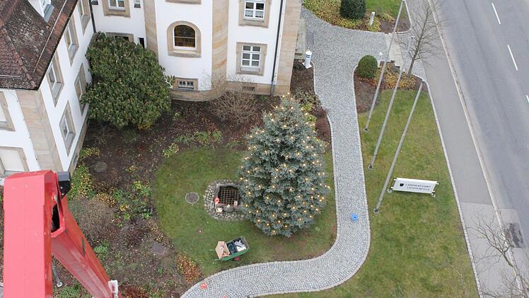 Aus einer Höhe von 25 Metern wirkt der Baum fast schon klein.