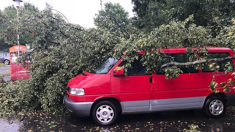 Bei dem Unwetter wurden nicht nur Keller überflutet, sondern auch Bäume umgeworfen wie hier in der Unteren Bachgasse.   Foto: Johanna Blum