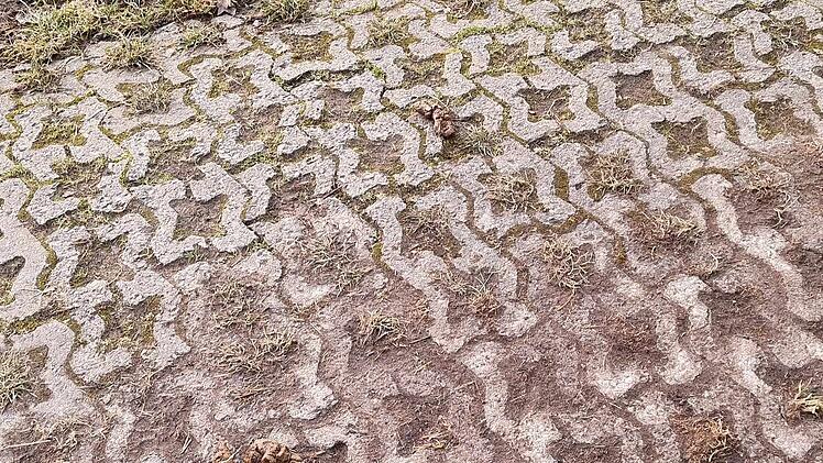 Kreis Coburg: Hundehaufen im Kreis Coburg sorgen für mächtig Ärger - "ober-eklig"