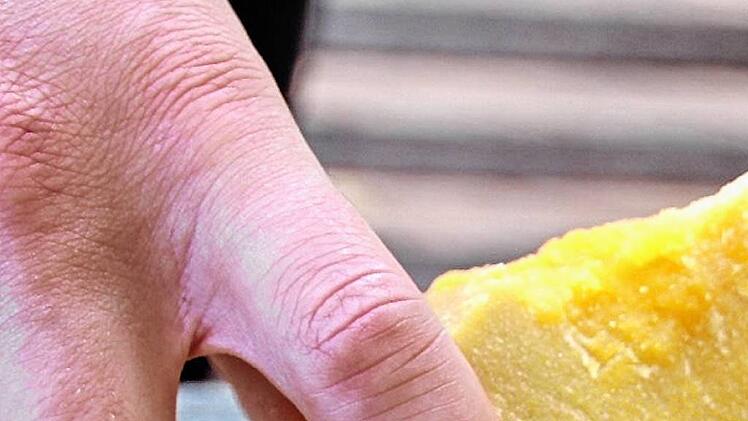 paul sagstetter erfinder D Fuchs (28)