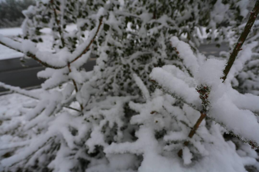 Erster Schneefall in Oberfranken