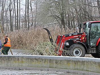 Immer wieder sind die Gemeindearbeiter beschäftigt, die Kläranlage und insbesondere die Teiche vor dem Biber zu schützen.  Foto: Günther Geiling