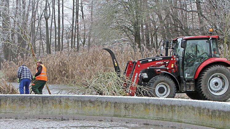 Immer wieder sind die Gemeindearbeiter beschäftigt, die Kläranlage und insbesondere die Teiche vor dem Biber zu schützen.  Foto: Günther Geiling