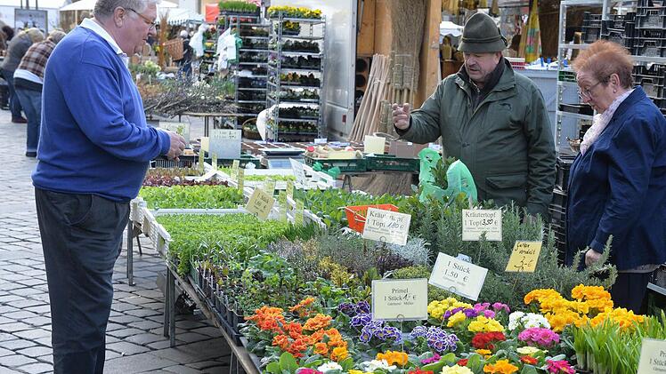 Eine neue Primelsorte, die "gefüllte" Primel, hat zum Beispiel Gärtner Bruno Müller aus Priesendorf dabei. Außerdem im Trend sind Salatpflanzen im Blumentopf. So lässt sich Salat auch vom Balkon ernten.