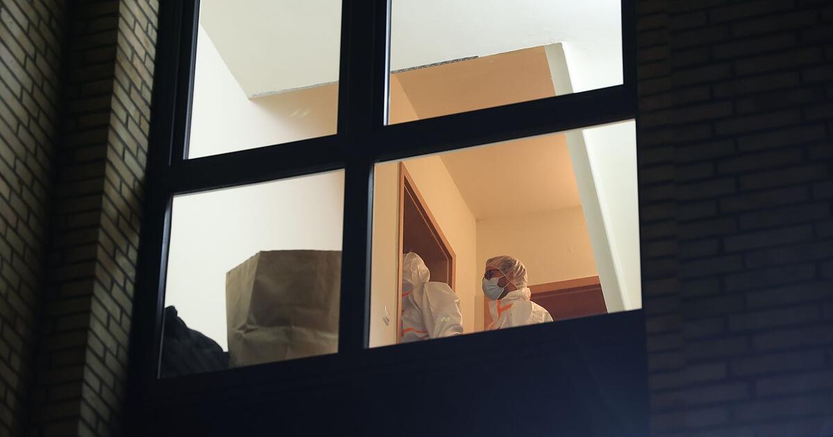 T-dliche-Gewalt-in-Hamburg-Tatverd-chtige-Frau-festgenommen